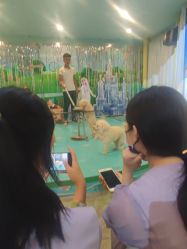 -酷嗒动物文化乐园(cutezoo西溪乐天城店)