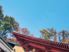 -灵谷景区