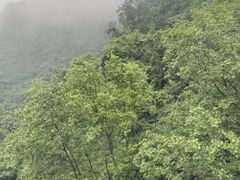 -青城山