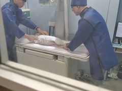 -关爱宠物医院·猫科中心·消化科(滨湖万达分院)