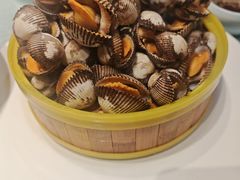 -煎饼卷大葱·非遗传承·潍坊菜(十笏园店)