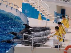 -泉城欧乐堡海洋极地世界