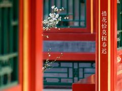 -虹桥机场V2贵宾休息室