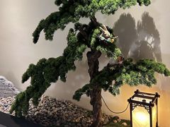 -富侨养生(光大会展店)