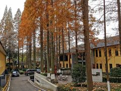 -T80科技文化国际社区-停车场