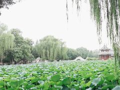 -莲池书院博物馆