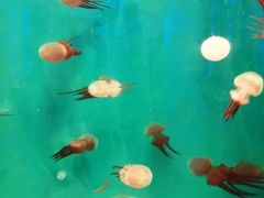 -石林冰雪海洋世界