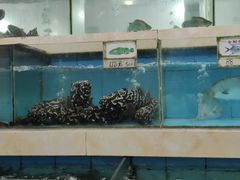 水产区-秋姐美食店(旅游大道店)