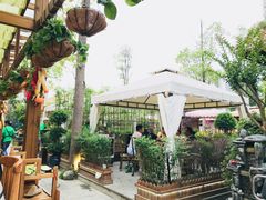 -二荆条·蜀鲜汇城市森林火锅