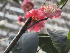 -木塔寺遗址生态公园
