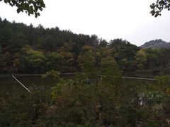 -木兰云雾山