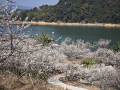 -广州市流溪河国家森林公园