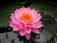 -桐乡植物园