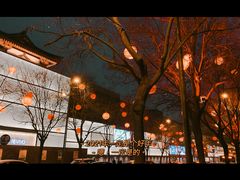 -大唐不夜城