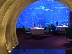 -迪拜帆船酒店海底餐厅