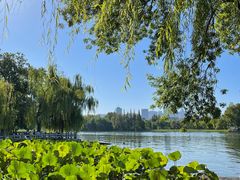 -济南大明湖景区