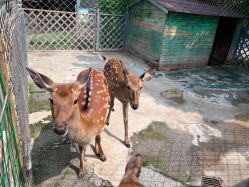 -萌宠亲子动物乐园(槐房万达店)