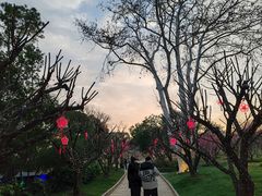 -无锡梅园公园