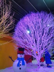-圣名游乐城冰雪大世界