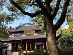 -岳王庙