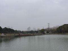 -昆山城市生态森林公园