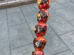 -糖葫芦王保定名吃(古莲花池店)