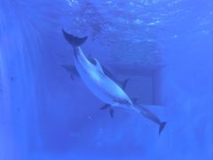 -多彩贵州城极地海洋世界