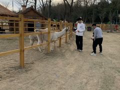 -红山体育度假乐园