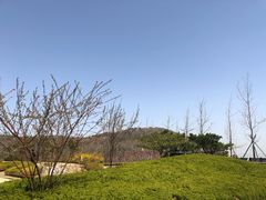 -棒棰岛宾馆景区