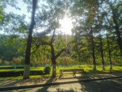 -棒棰岛宾馆景区