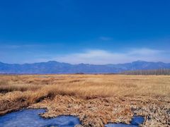 -野鸭湖国家湿地公园