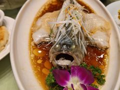 -刘胖子家常菜·蹄花焖藕(中央花园店)