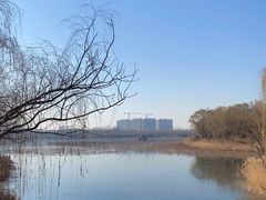 -大兴滨河森林公园