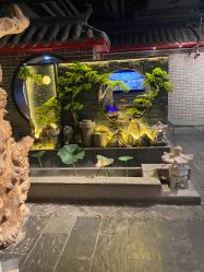 -茉莉花国际酒店·宴会厅