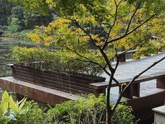-钱江新城