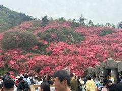 -木兰云雾山
