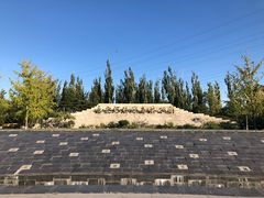 -永定河休闲森林公园