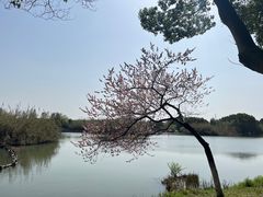-沙家浜风景区