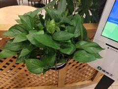 -德克士(宽甸店)