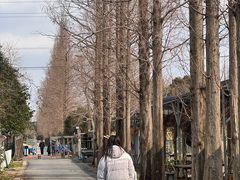 -前小桔亲子创意农场·草莓采摘·露营烧烤