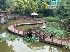-珠海圆明新园