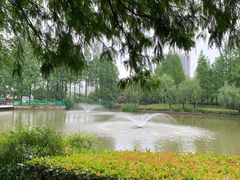 -黄兴公园