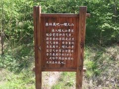 -帽儿山风景区
