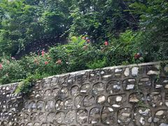 -北京上方山国家森林公园