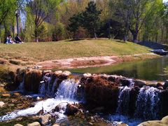 -长白岛森林公园