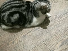 -小时光咖啡馆(开森度假森林店)