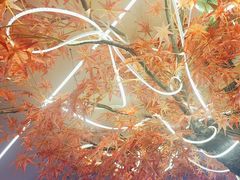 -徐家屯铁锅炖(宋家庄店)