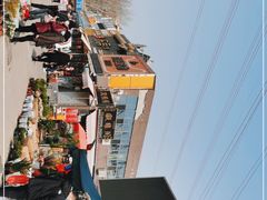 -中环花鸟鱼虫市场