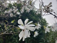 -陕西省西安植物园