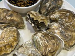 -陶然饺子城(奥体中路店)